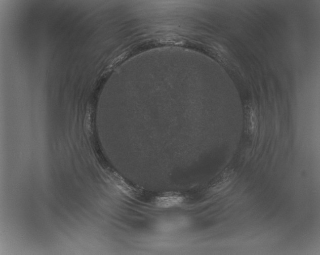 X0000061140266200511241812