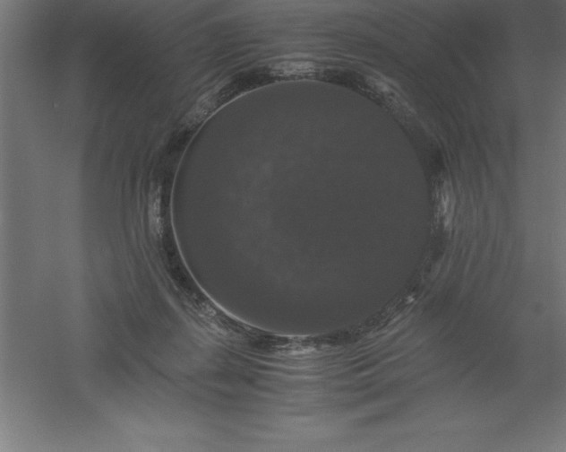 X0000061140267200511241812