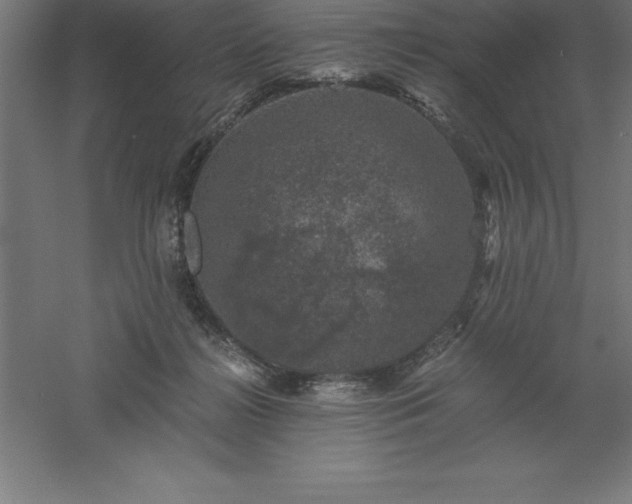 X0000061140268200511241812