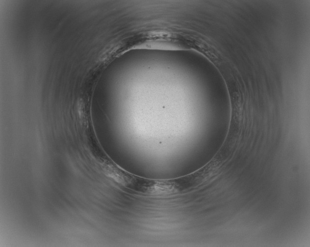 X0000061140270200511241812