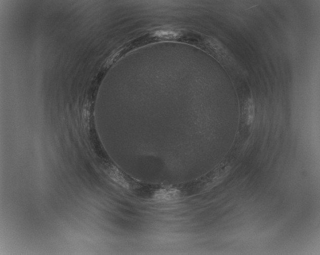 X0000061140271200511241812