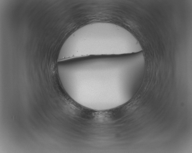 X0000061140273200511241812