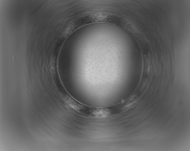 X0000061140274200511241812