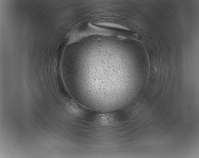 X0000061140275200511241812