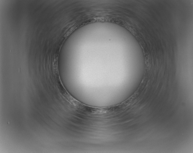 X0000061140276200511241812