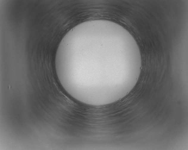 X0000061140277200511241812