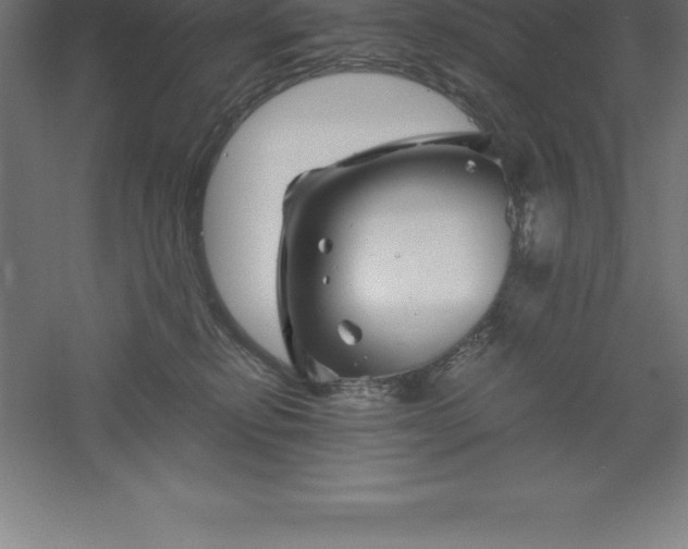 X0000061140278200511241812