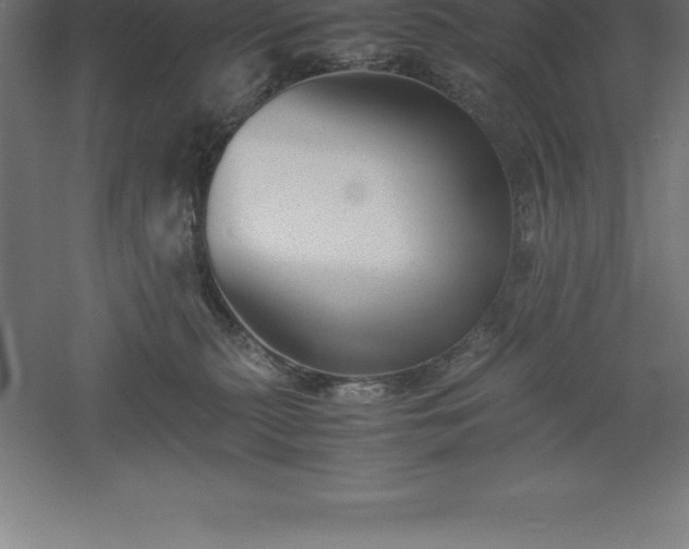 X0000061140279200511241812