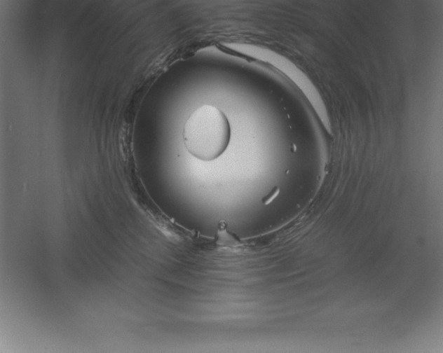 X0000061140280200511241812