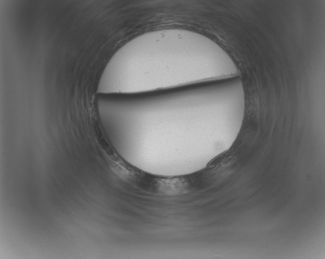 X0000061140281200511241812