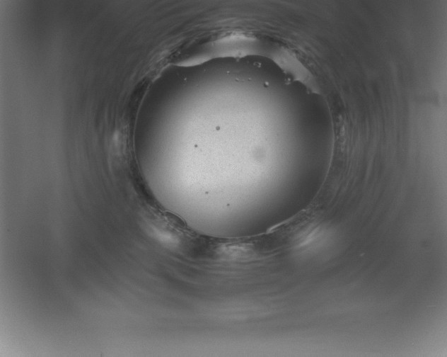 X0000061140283200511241812