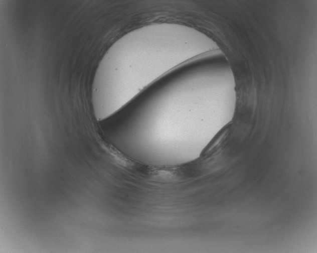 X0000061140285200511241812