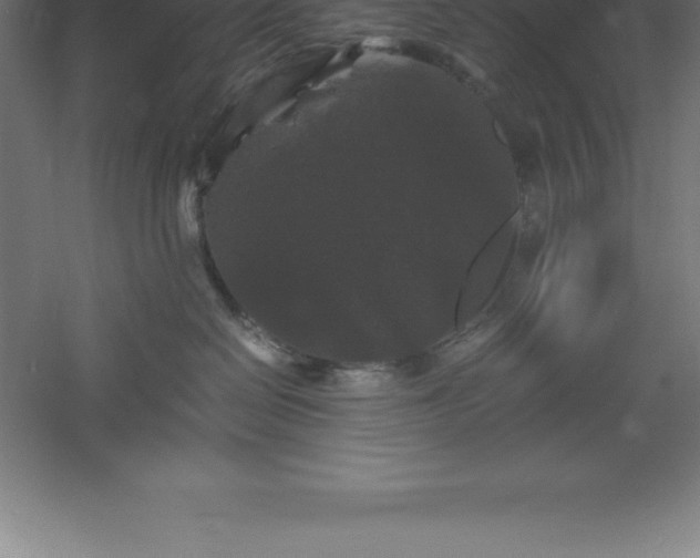 X0000061140286200511241812