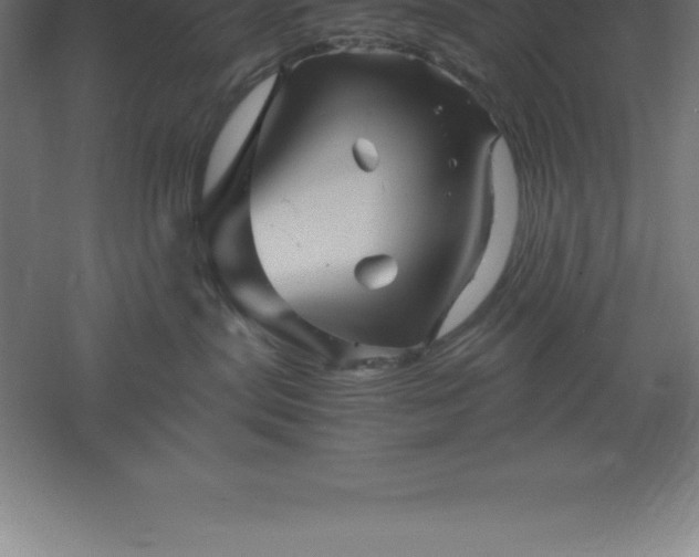 X0000061140287200511241812