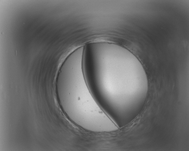 X0000061140289200511241811