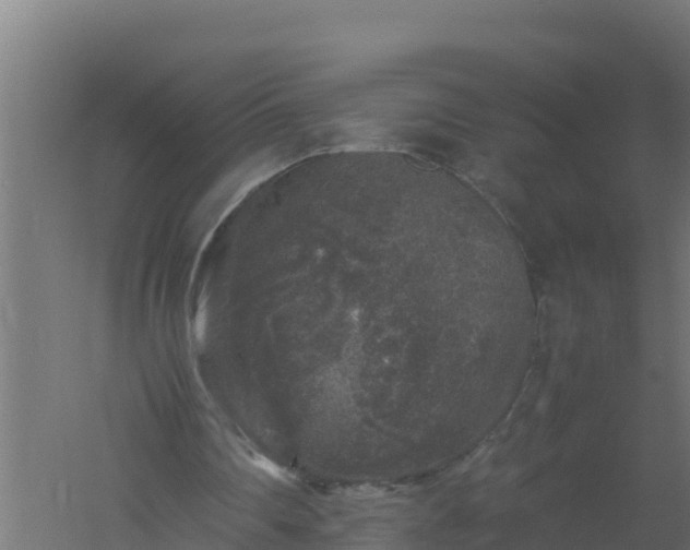 X0000061140290200511241811