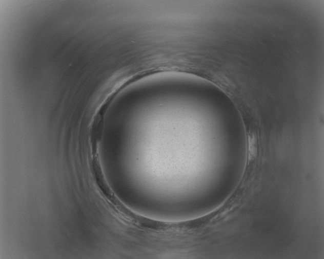 X0000061140291200511241811