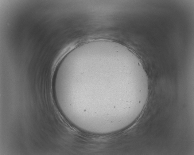 X0000061140293200511241811