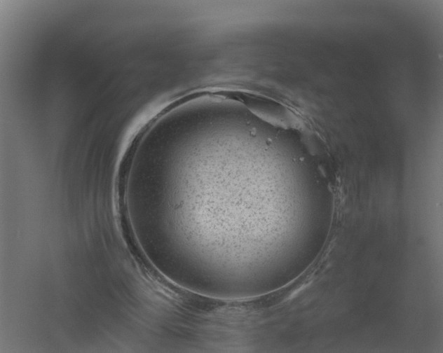 X0000061140294200511241811