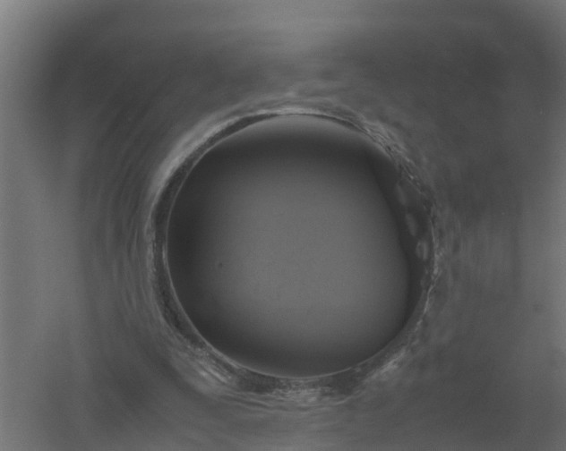 X0000061140295200511241811