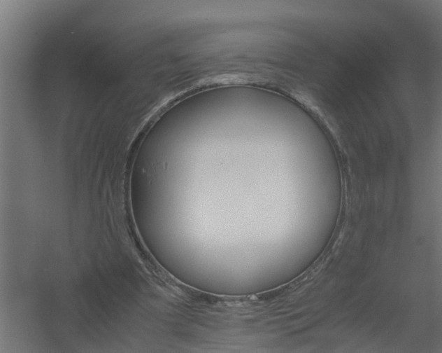 X0000061140297200511241811