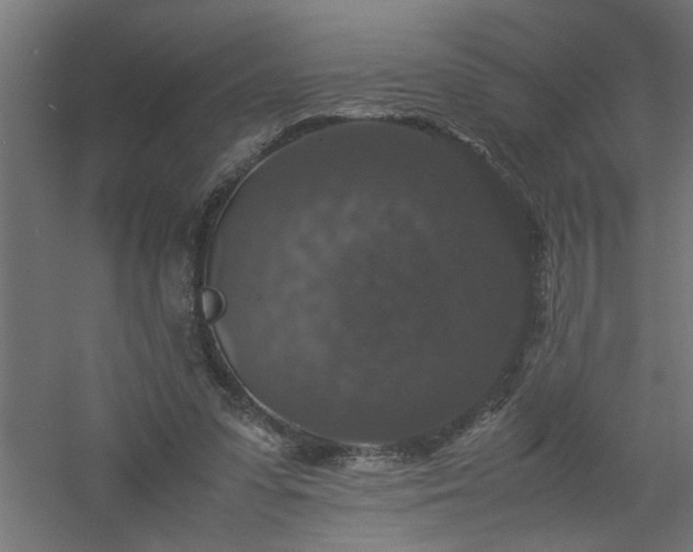 X0000061140303200511241811