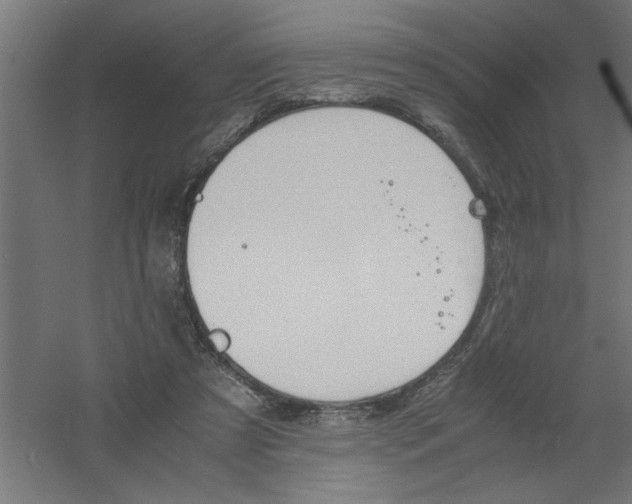 X0000061140305200511241811