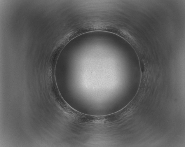 X0000061140306200511241811