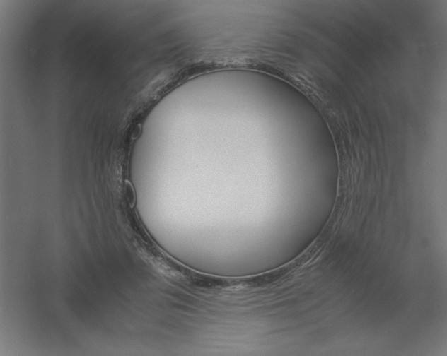 X0000061140309200511241811