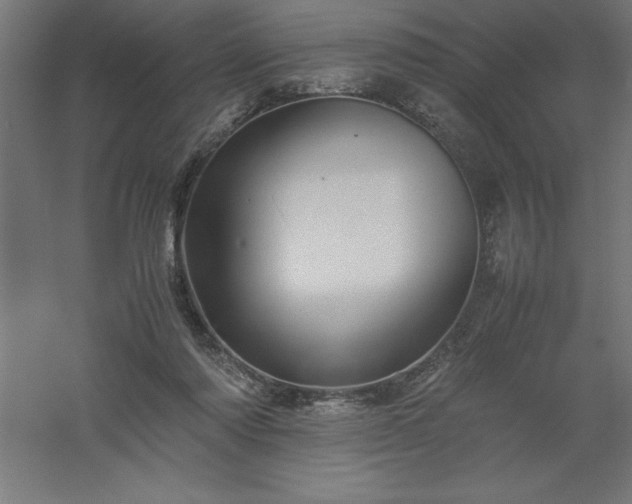 X0000061140310200511241811