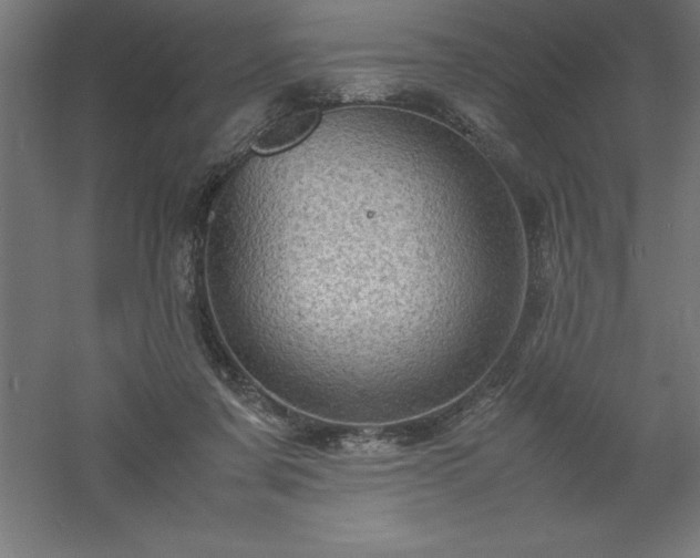 X0000061140311200511241811