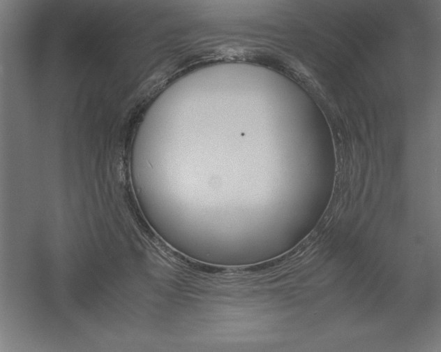 X0000061140313200511241811