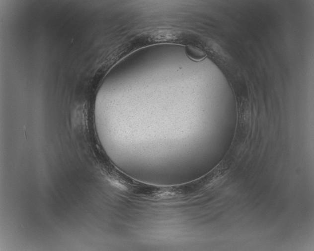 X0000061140315200511241811