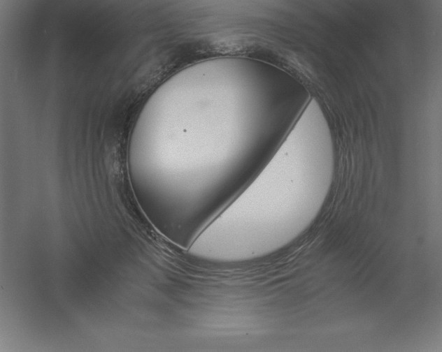 X0000061140317200511241811