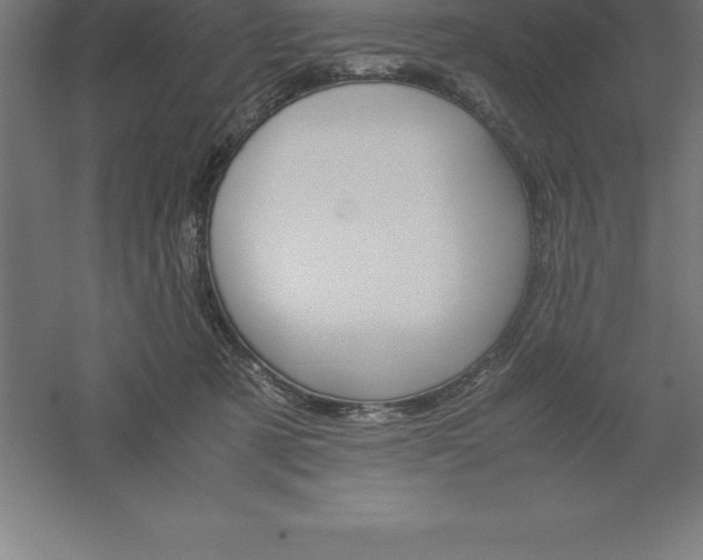 X0000061140321200511241811