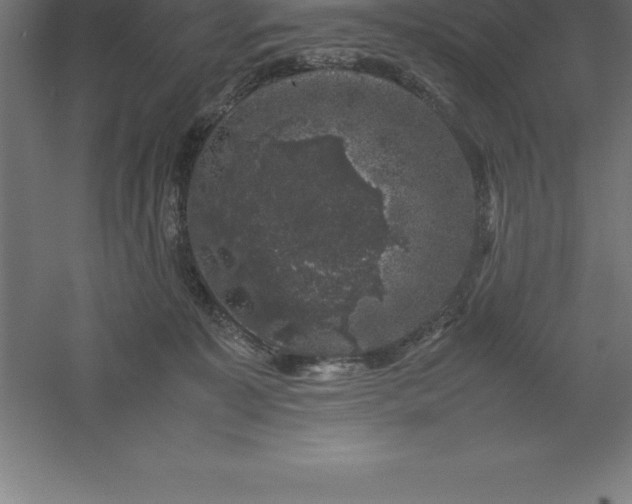 X0000061140323200511241811