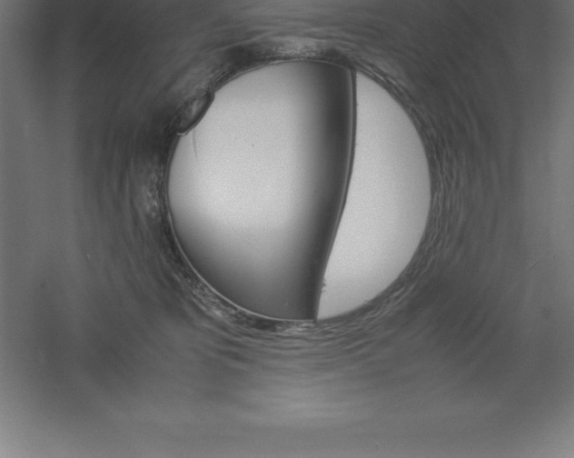 X0000061140325200511241811