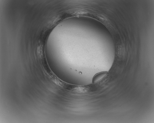 X0000061140326200511241811