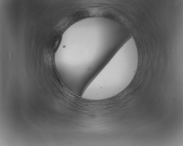 X0000061140329200511241811