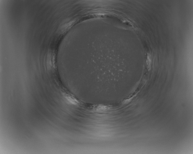 X0000061140330200511241811