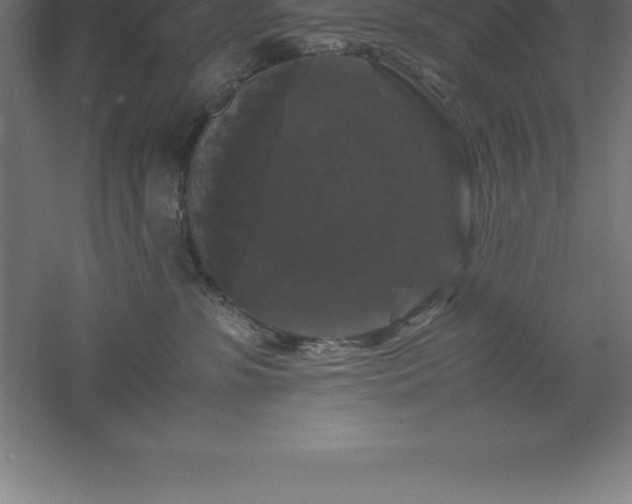 X0000061140331200511241811