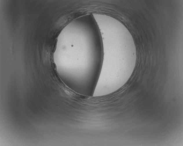 X0000061140333200511241811