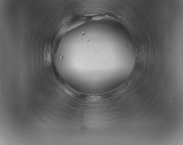 X0000061140334200511241811