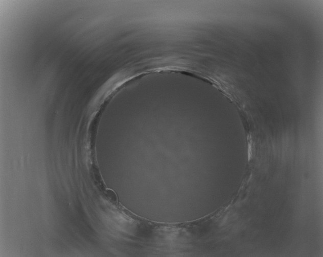 X0000061140339200511241810