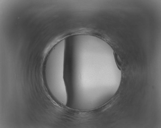 X0000061140341200511241810