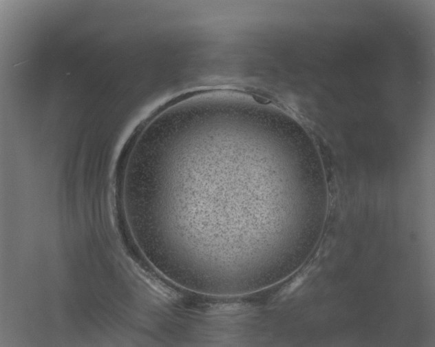 X0000061140342200511241810