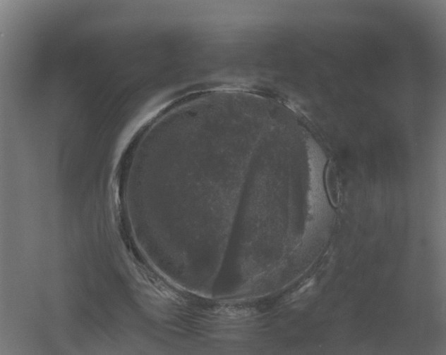 X0000061140343200511241810