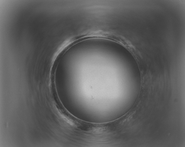 X0000061140344200511241810