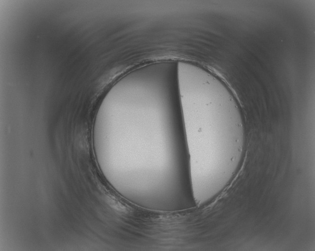 X0000061140345200511241810