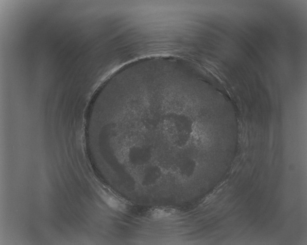 X0000061140346200511241810